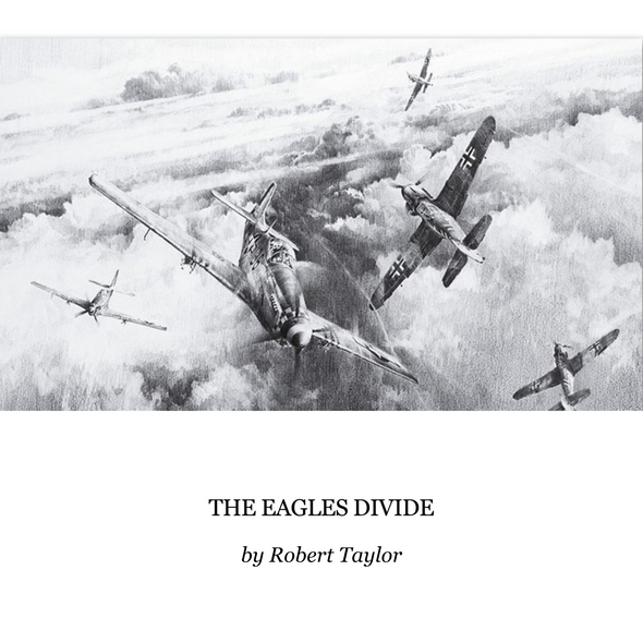 The Eagles Divide by Robert Taylor - Aces Edition Artist Proof 23x16"