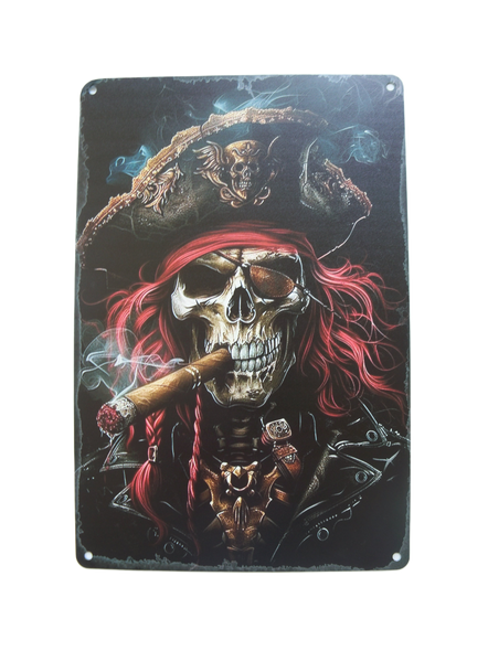 Quirky Funny Skeleton Pirate Metal Wall Sign