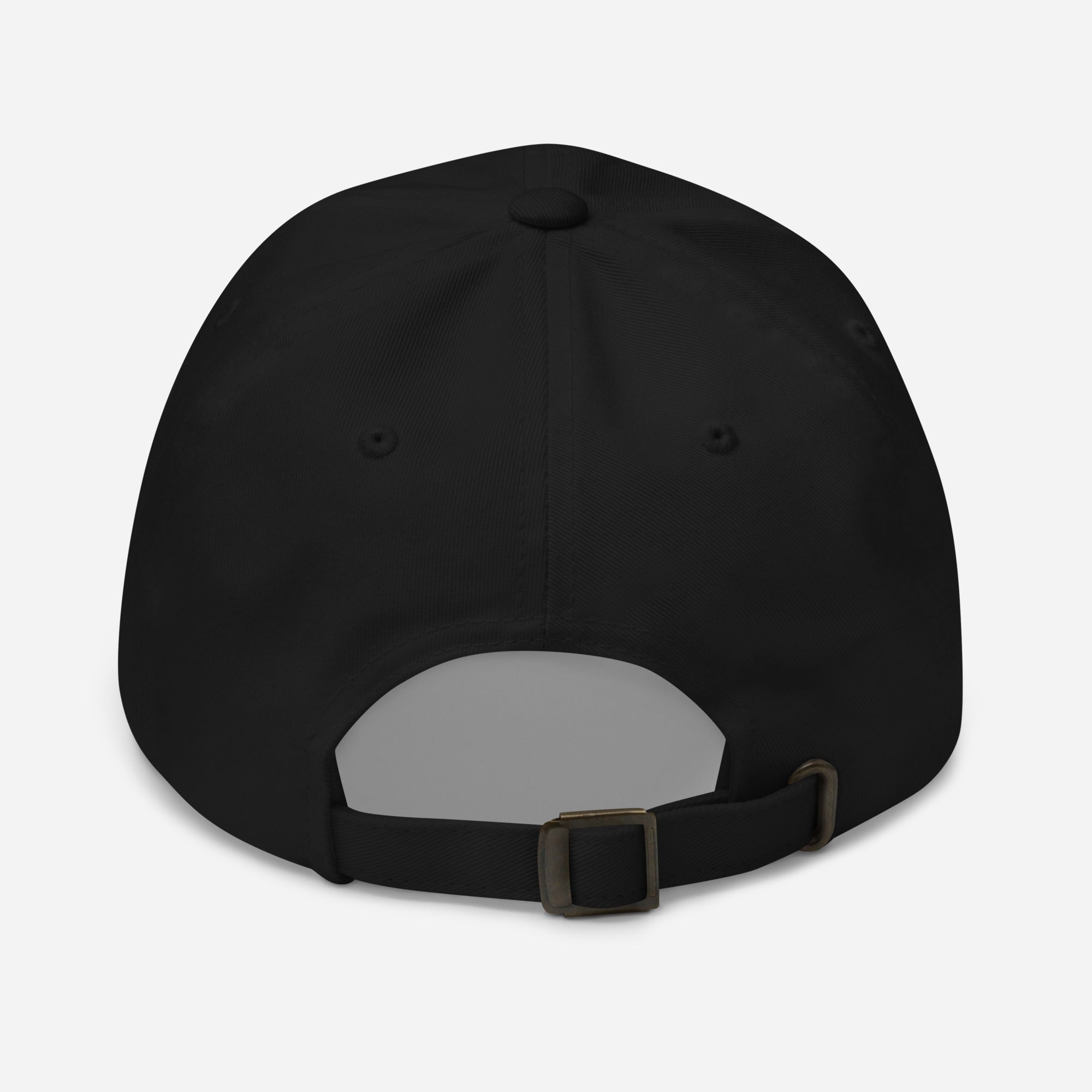 The Scraggy Parrot of George Rarey .WW2 P47 ,379th fs Vintage premium dad hat