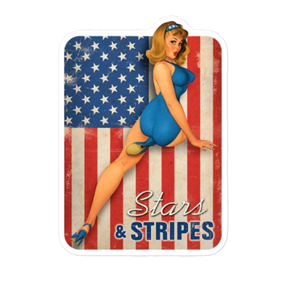 Vintage pin up girl and American flag