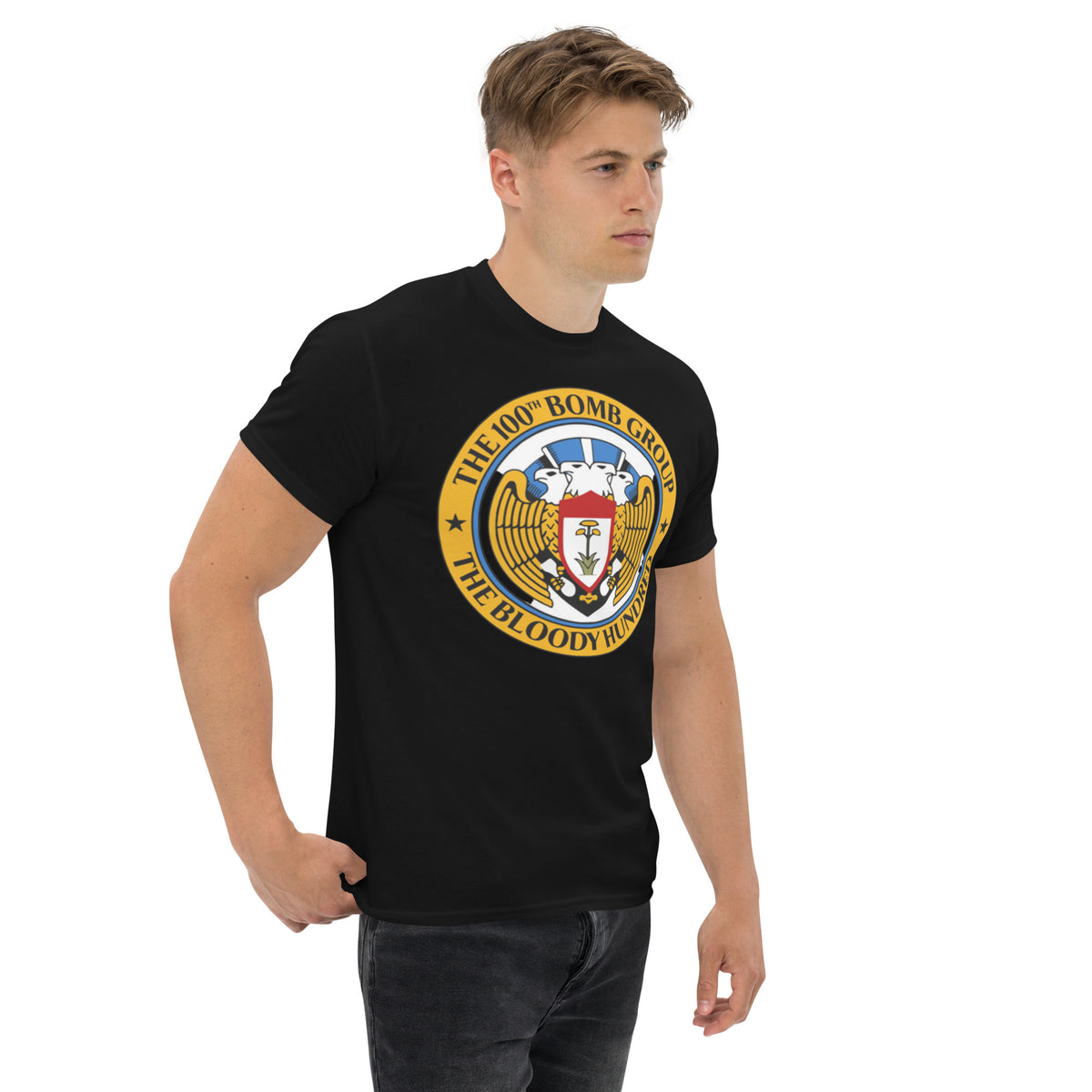 Bloody 100th – 100th Bomb Group WWII B-17 Flying Fortress Master of the Air premium T-shirt