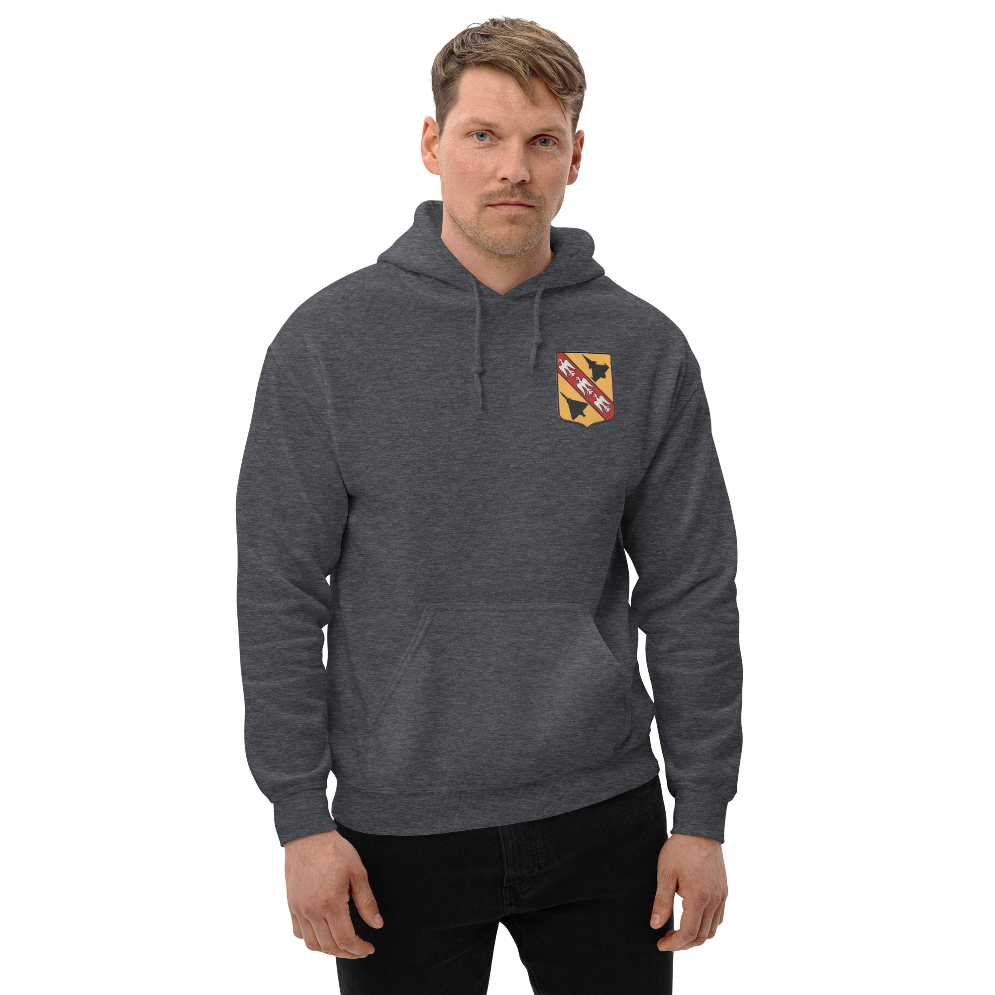 French fighter squadron 3/30 Lorraine insignia with Rafale and Mirage 2000 hoodie
