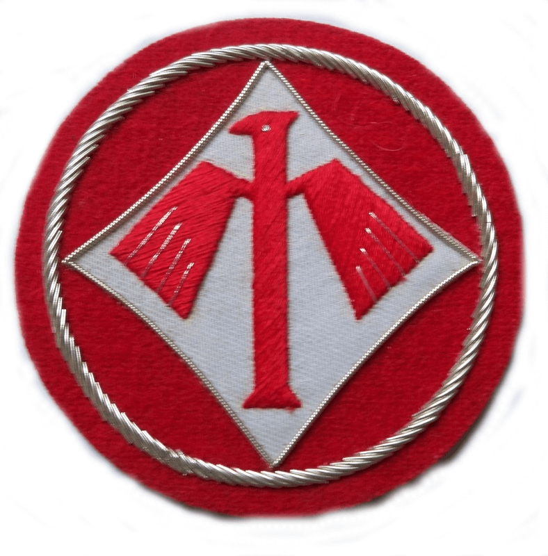 ww2 Luftwaffe I/JG1 'Oesau' Gruppe bullion insignia