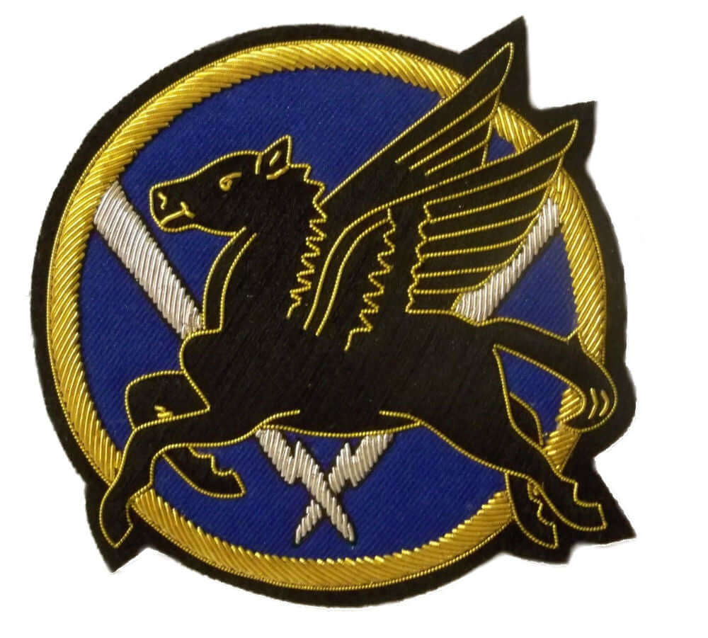 Dark blue circle shaped patch with gold outer ring.  In center is black winged horse and two silver lightening bolts