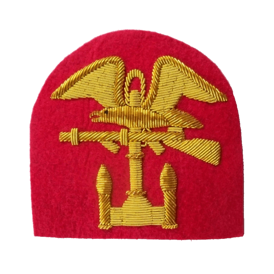 US Naval Amphibious Forces Patch ww2 US NAVY